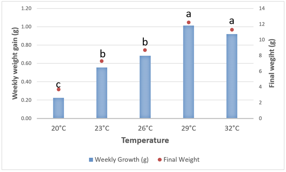 Comparison between weekly gain (grams)  and final growth