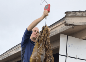 WHOI, WWF team up on seaweed farming research