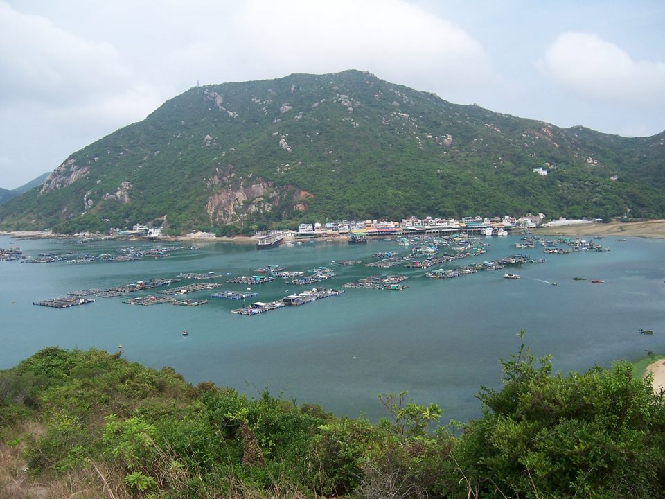China's marine fisheries