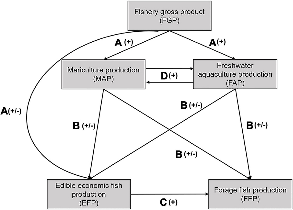 Fig. 1: Conceptual diagram or metamodel of hypothesized influences on marine wild fisheries. Solid black arrows depict known causal effects among variates. Arrow labels correspond to major literature references used (available at original publication). Parenthetic signs next to black arrow labels indicate that the relationship is expected to be positive (+), negative (–), or variable (±).