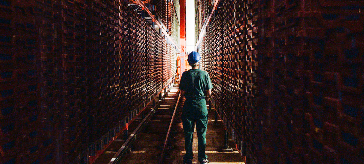 production of insects for animal and fish feeds