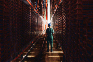 France has become innovation nation for insect production