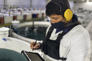 Ecto raises $7m investment to develop ‘game changer’ data platform for aquaculture