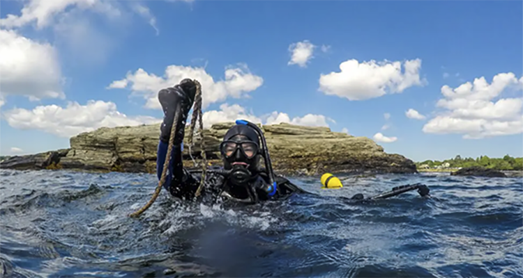 Article image for Canada invests in ghost fishing gear removal and marine ecosystem protection