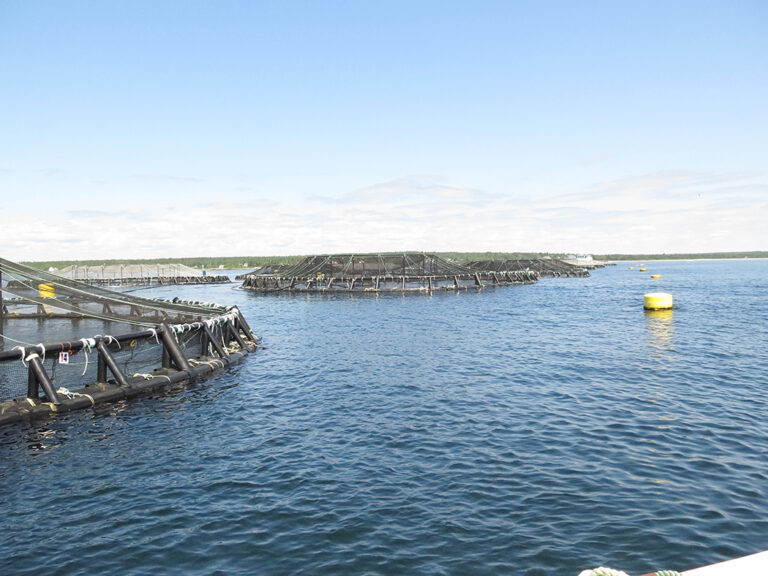 Article image for Is Nova Scotia’s seafood economy ready for climate change?