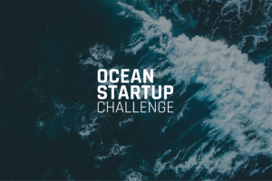 Project awards $1.1 million to 40 ocean tech startups, including aquaculture