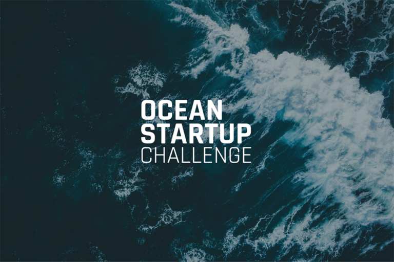 Article image for Project awards $1.1 million to 40 ocean tech startups, including aquaculture