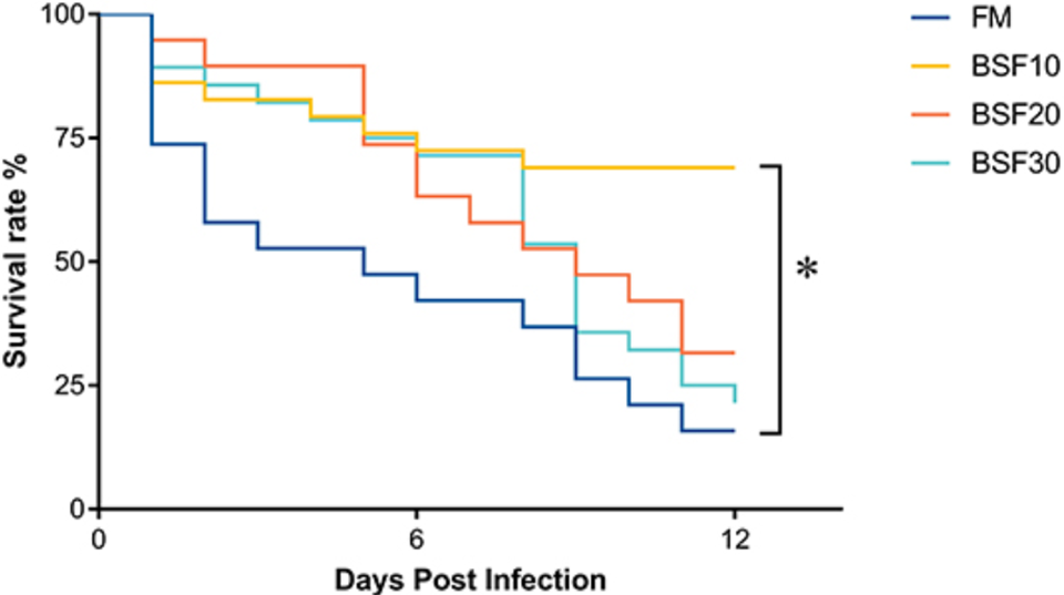 Fig. 1: Effect of black soldier fly larvae meal (BSF) on the survival rate of <em>L. vannamei</em> after infection of <em>V. parahaemolyticus</em>. An asterisk (*) indicates significantly different (P &lt; 0.05) among groups based on Tukey's HSD test.