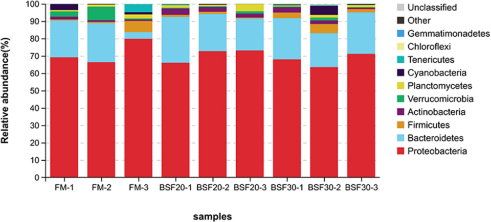 Fig. 2: Relative abundance comparison of intestinal microbiota