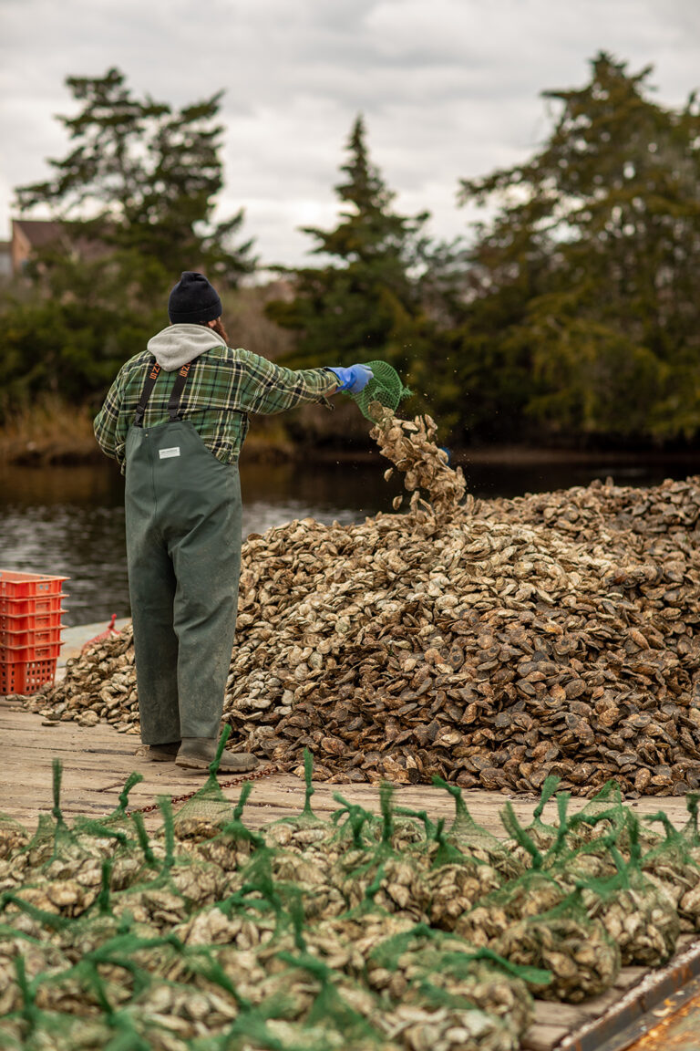 Article image for The Nature Conservancy issues $1 million in aquaculture grants