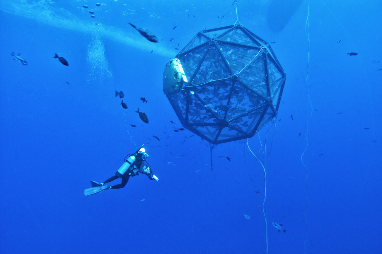 Offshore aquaculture offers a climate change solution, but can farms ...