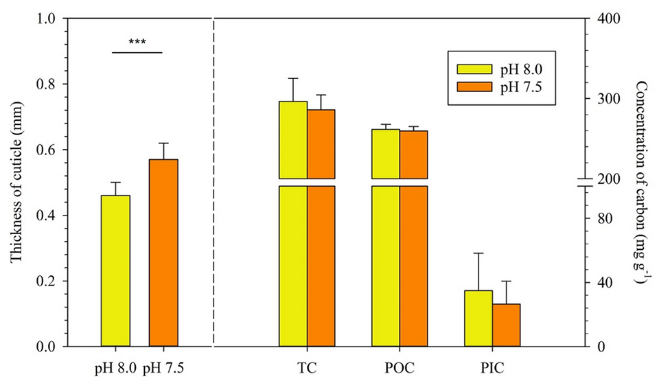 Thickness and carbon content of cuticle in pH 8.0 and pH 7.5 treatments