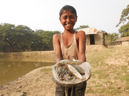 Article image for Prawn and shrimp farm industry ‘crucial to public health and prosperity’ in Bangladesh, study says