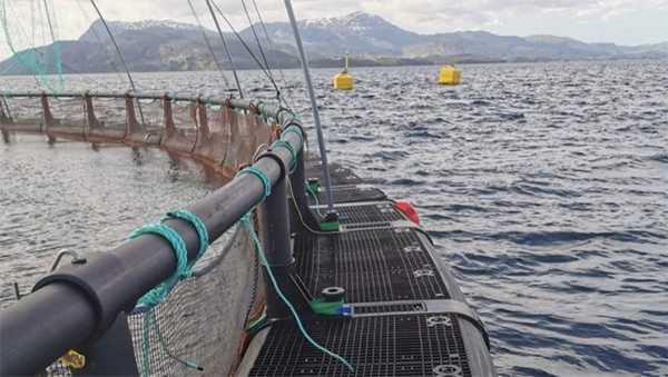 Article image for AKVA develops ocean net pens without polystyrene