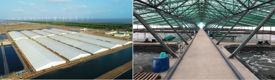 Fig. 1: Aerial view of the Viet-Uc Nha Mat farm in Bac Lieu, Mekong Delta, and commercial greenhouses used in the project.