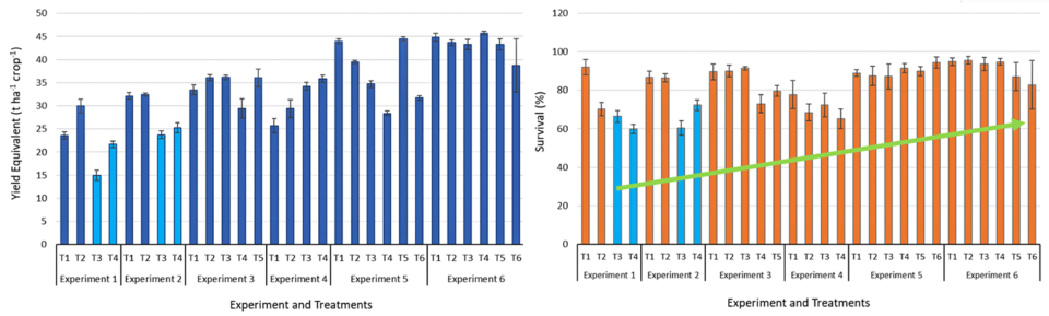 Fig. 3. Means (±SEM) of yields (t/ha/crop/equivalent) and survival (percentage) per treatment for each of the six experiments carried out during the project. Bars in light blue highlight the clear-water treatments.