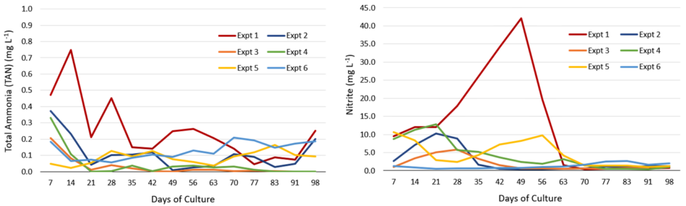 Fig. 5: Total ammonia nitrogen (TAN) and nitrite concentration (mg/L) in biofloc treatments throughout the culture period when averaged for each experiment.