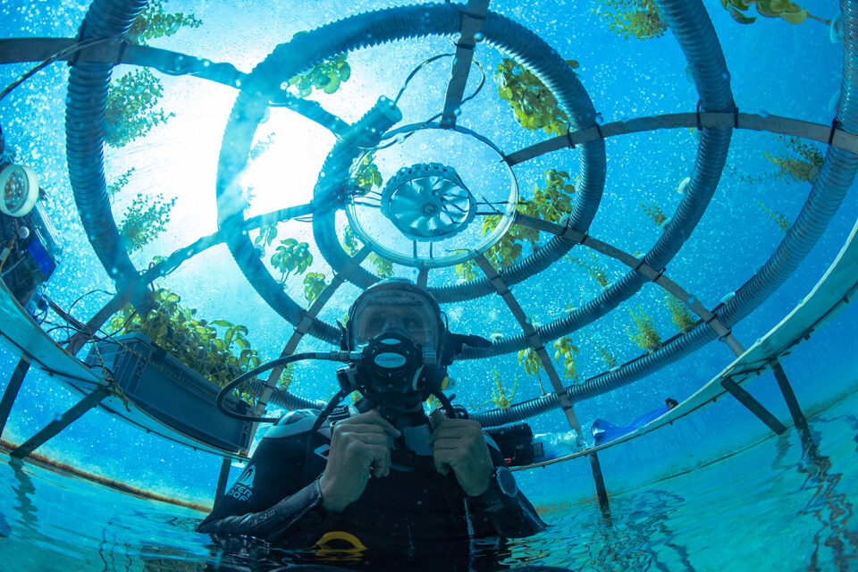 Underwater agriculture