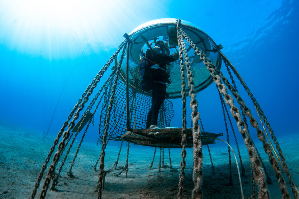 underwater agriculture