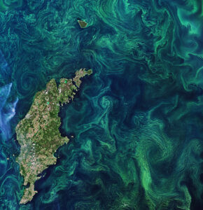 NOAA helps fund the launch of harmful algal bloom control center