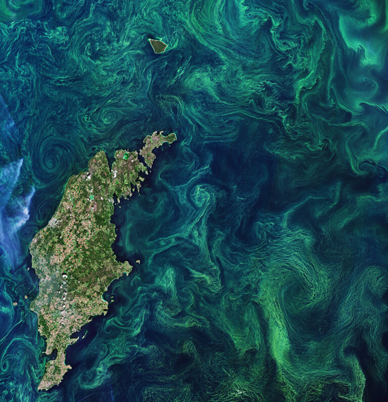 Article image for NOAA helps fund the launch of harmful algal bloom control center