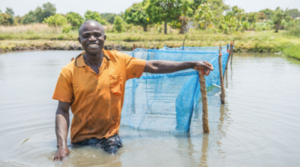 ‘Aquaculture could feed the world,’ concludes International Labour Organization