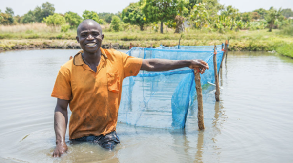 Article image for ‘Aquaculture could feed the world,’ concludes International Labour Organization