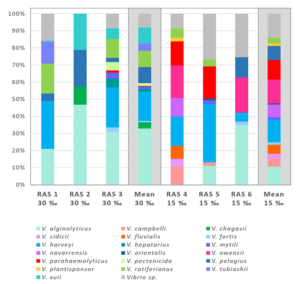 Chart-Composition of the Vibrio species community in the tank water of six RAS stocked with L. vannamei. 