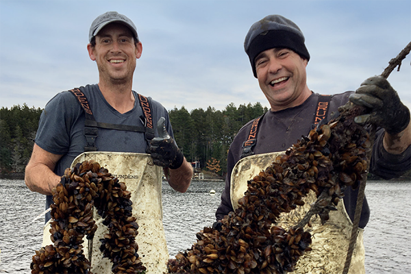 Article image for New 10-year roadmap for Maine aquaculture calls for $15 million in resources