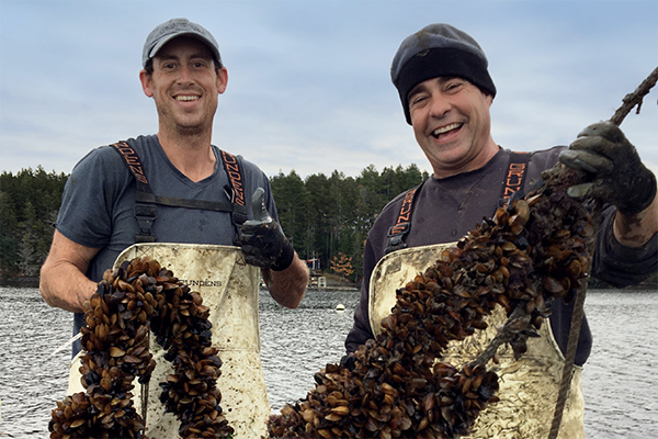 Maine aquaculture