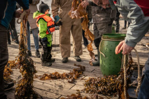 agricultura oceánica regenerativa