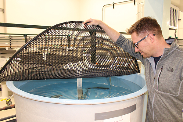 Article image for University of Waterloo opens research facility to study effects of climate change on fish stress