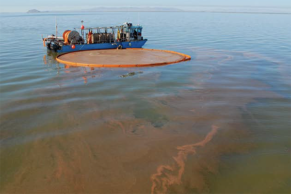 Article image for Great Salt Lake Artemia fishery becomes first U.S. inland fishery to earn MSC certification
