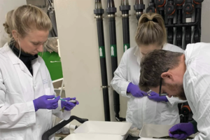 Industry collaboration looks to develop Tenacibaculum vaccines for salmon