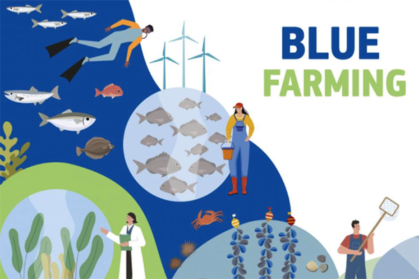 Article image for ‘Blue Farming’ sustainable aquaculture document updates Europe’s Farm to Fork strategy