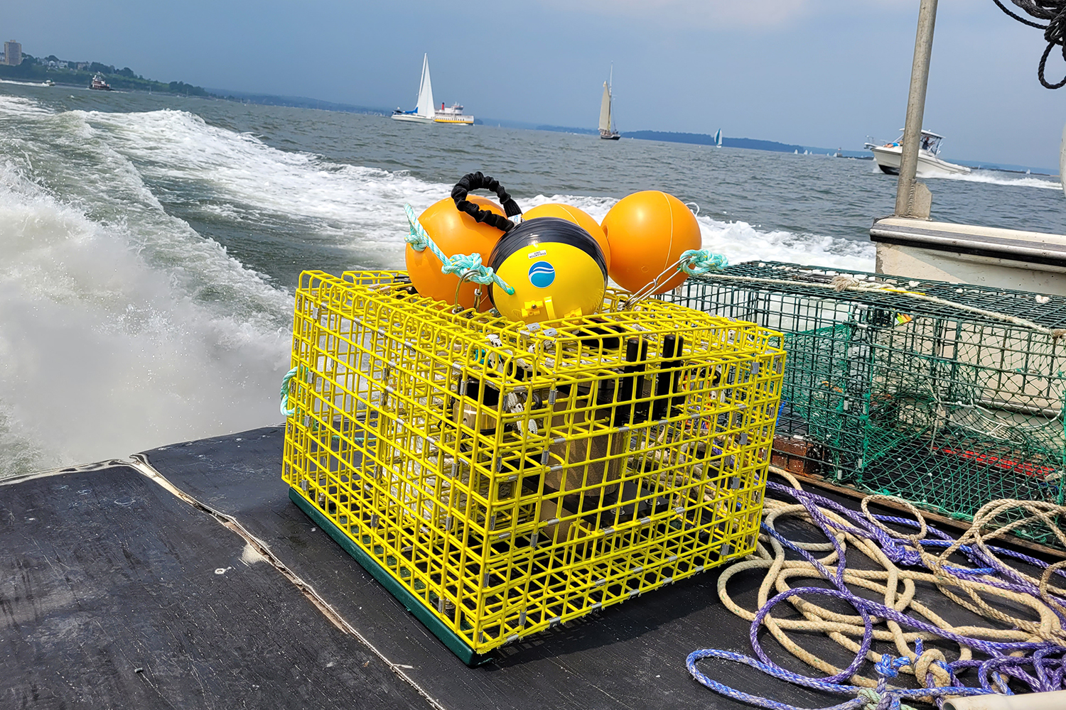 Rethinking ropes Can ropeless fishing gear end whale entanglements