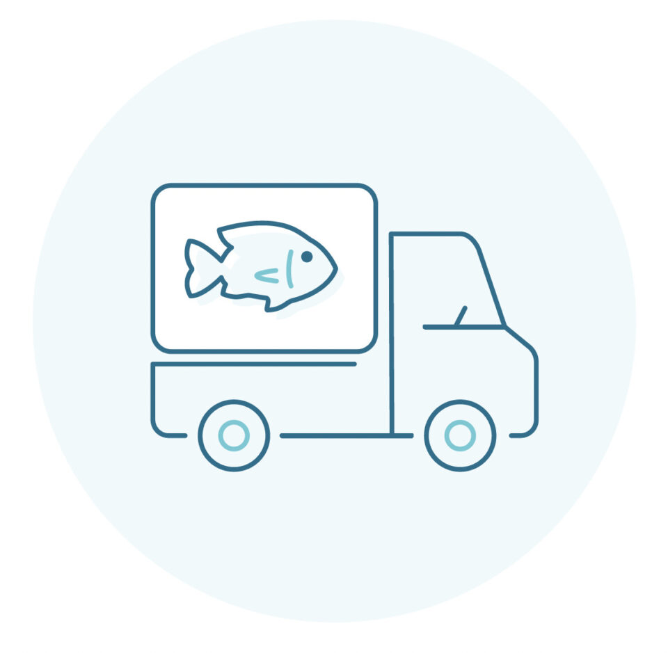 What happens at a seafood processing plant?