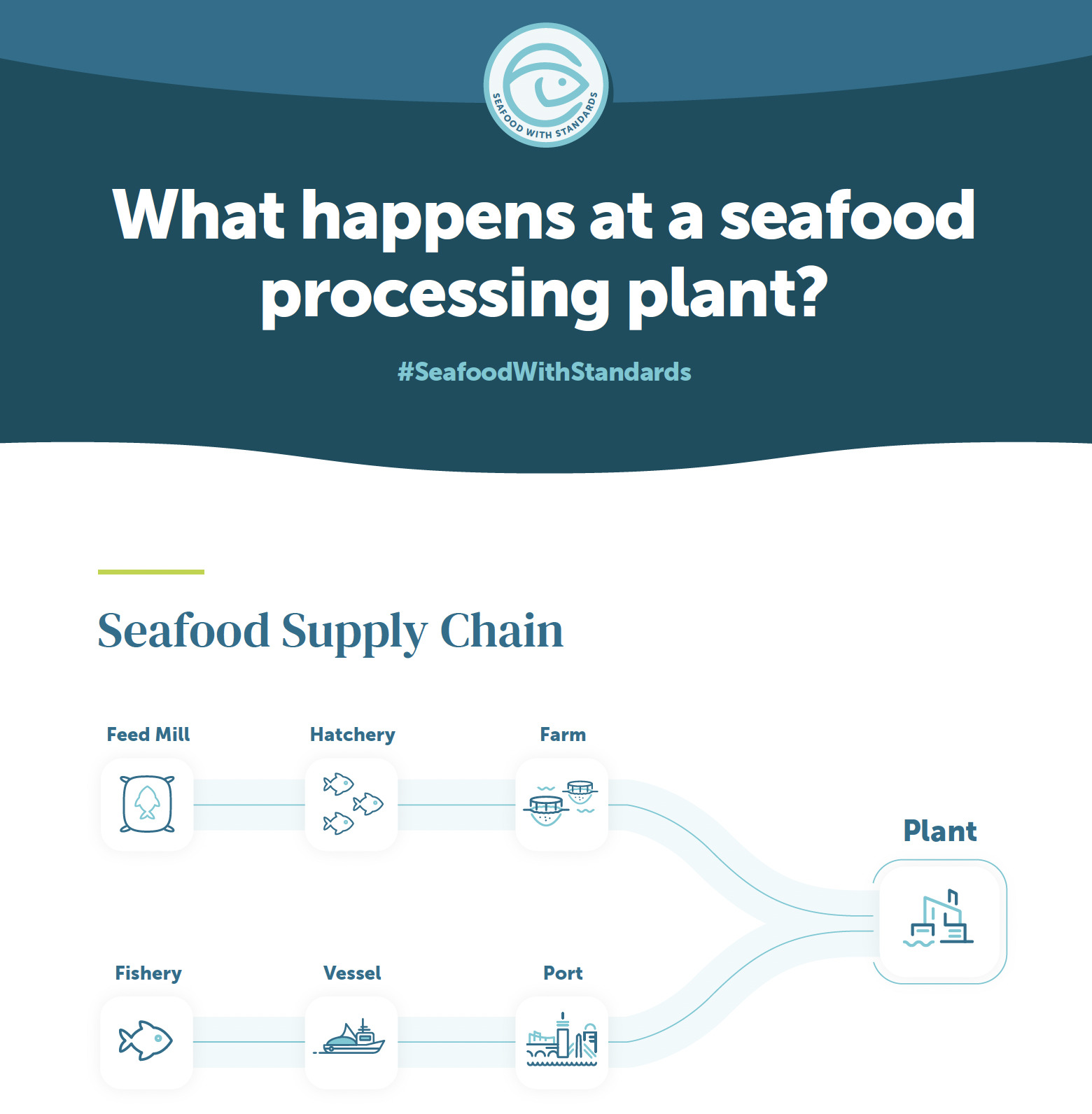 what happens at seafood processing plants infographic