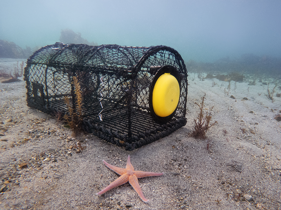 Ghost gear & more: Over 2,700 tonnes of fishing materials