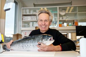 Nofima unlocks ‘promising’ method for sterilizing farmed salmon at embryotic stage