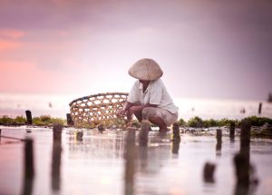 what happens at seafood farm