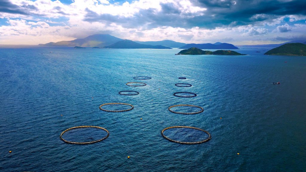 Article image for Does aquaculture really need a heat-tolerant salmon to adapt to rising ocean temperatures?
