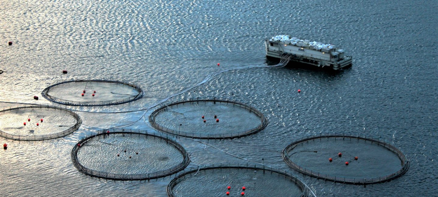 Distribución espacial