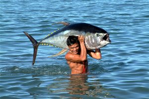 EU presses for Indian Ocean tuna fisheries management changes