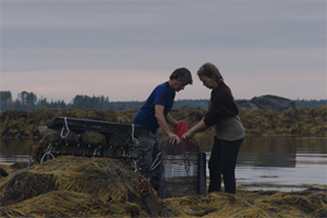 Maine aquaculture