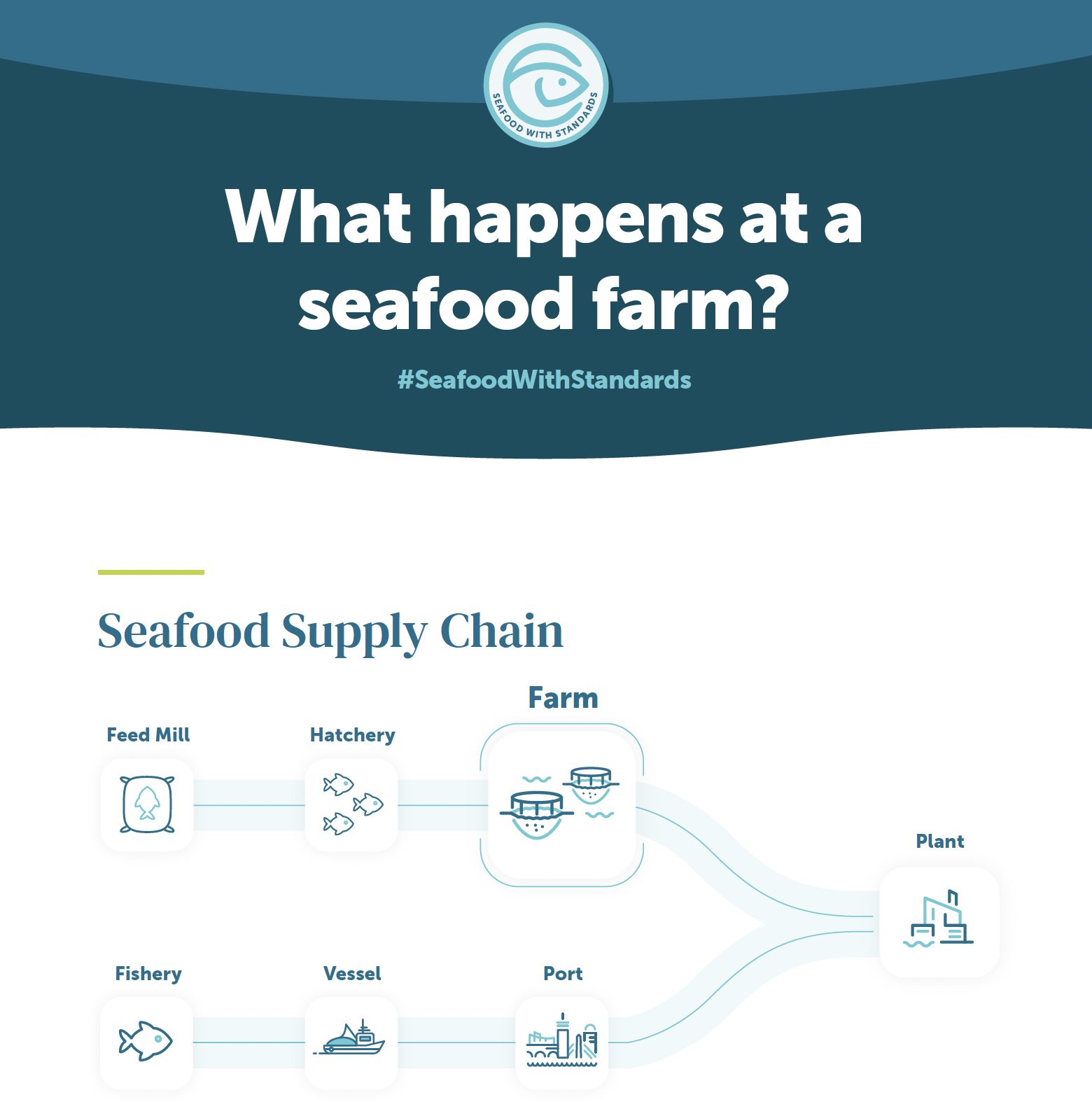 what happens at a seafood farm infographic