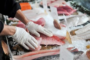 Suppliers, retailers and others call for improved seafood traceability standards in Canada