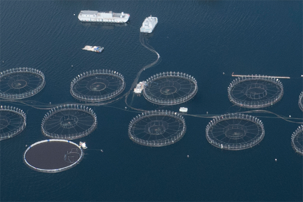 offshore marine aquaculture research