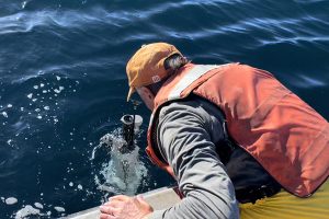 Chemical and biological sensors in the ocean could deliver climate change data in real time