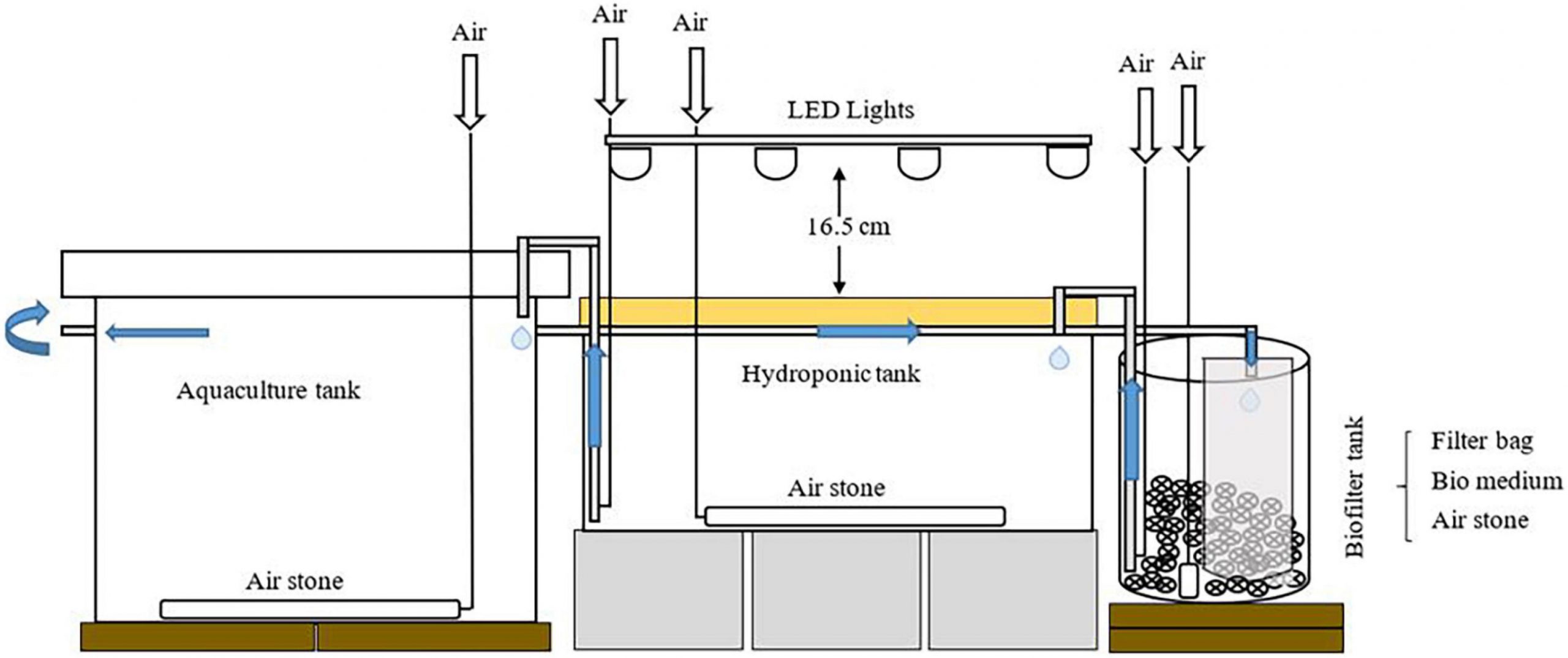 Schematic diagram of an aquaponics system unit 